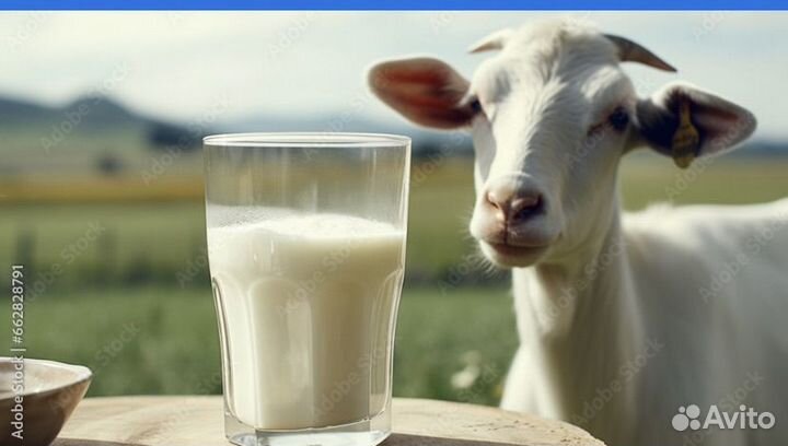 Козье молоко,яйца куриные