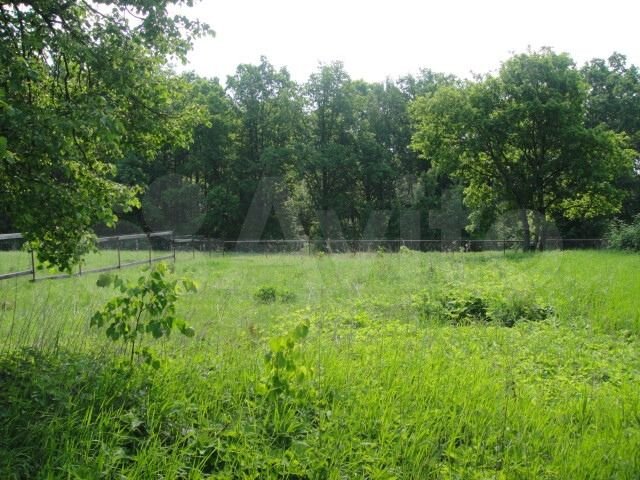 Участок 50 сот. (ИЖС)