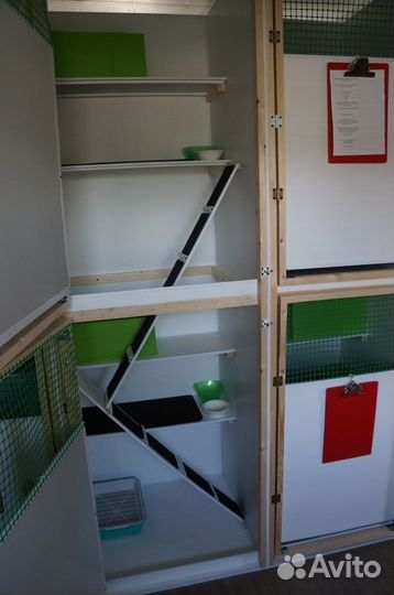 Гостиница для кошек и животных домашних