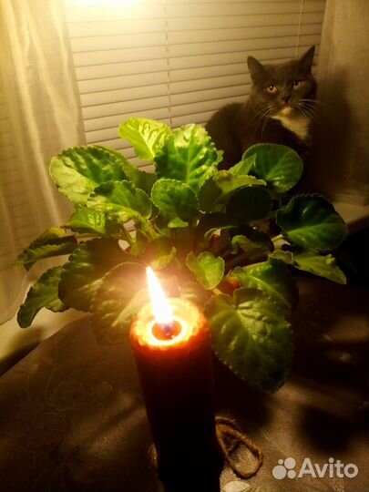 Свеча медовая из вощины