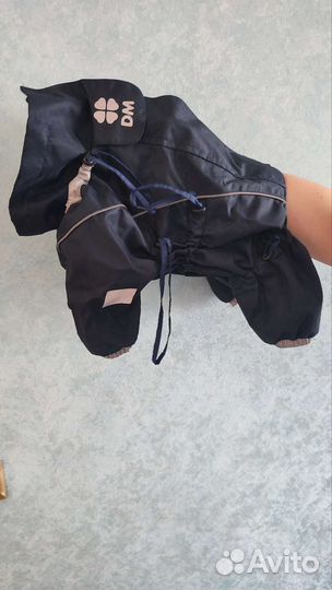 Комбинезон для кобеля мелкой породы