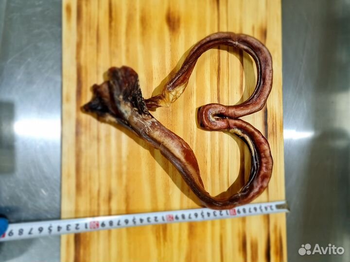 Лакомства для собак, кошек, хорьков