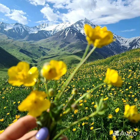 Тур по Дагестану 6 дней. Все включено