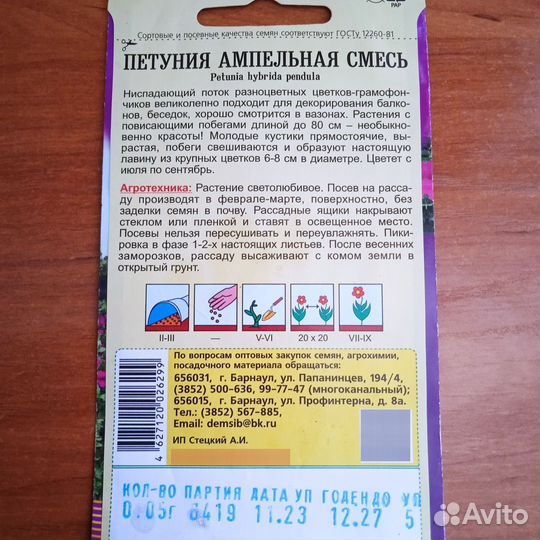Рассада однолетних цветов