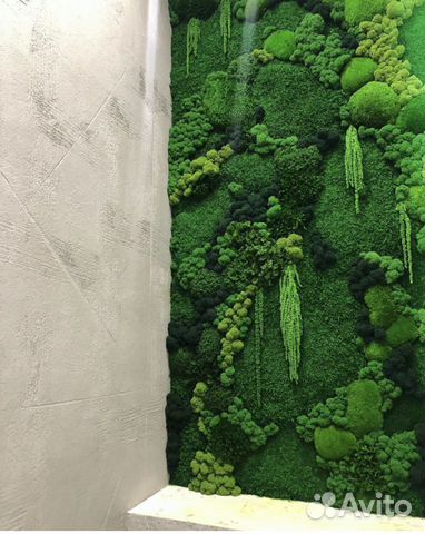 Картина из стабилизированного мха