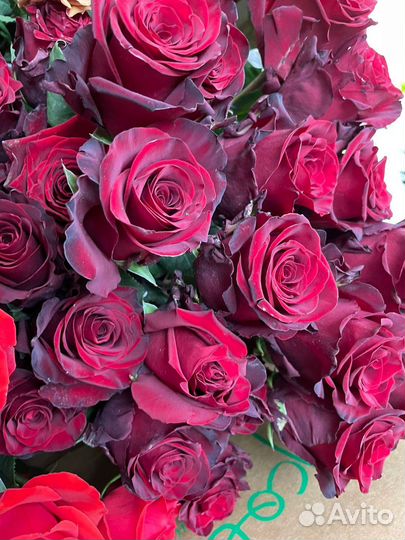 Розы Эквадор под заказ опт от 500 шт