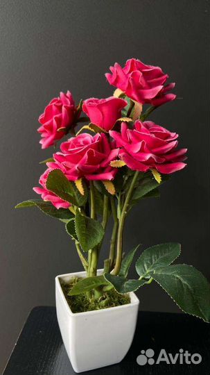 Ботанический копии роз