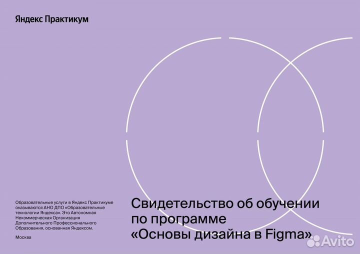 Веб дизайнер / Графический дизайнер