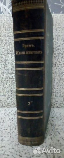 Редкая антикварная книга. Брэм