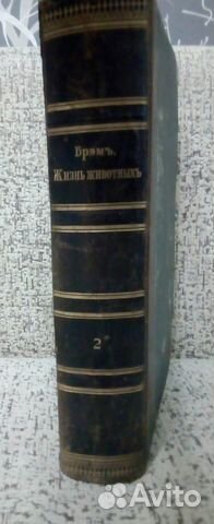 Редкая антикварная книга. Брэм