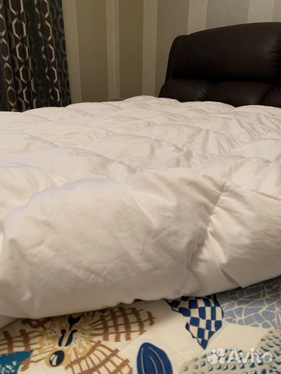 Brinkhaus Lord Inlett королевское одеяло Германия