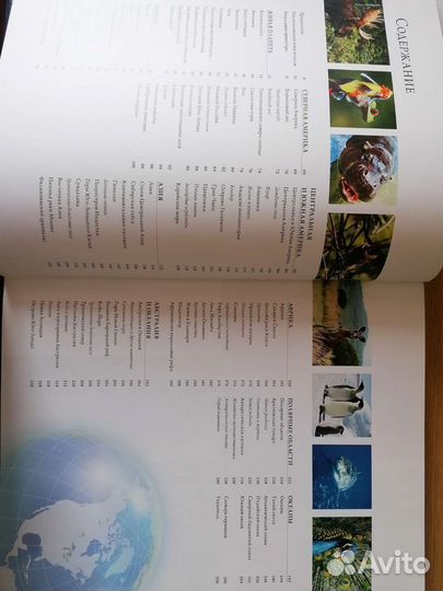 Иллюстрированный атлас Животный мир
