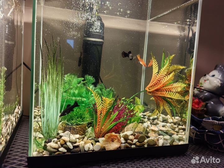 Аквариум