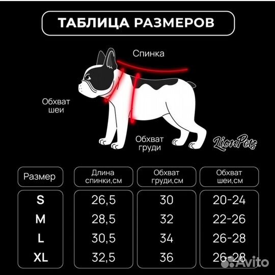 Новый Дождевик для собак мелких пород