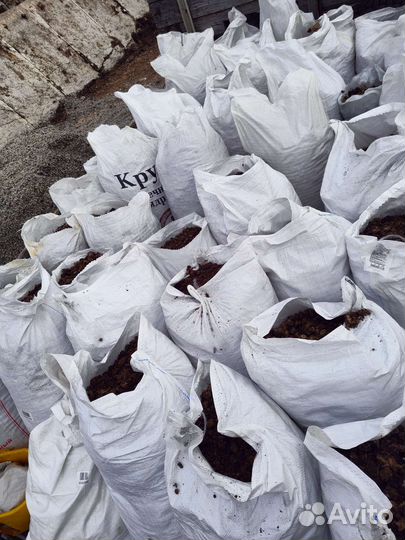 Куринный навоз, помёт в мешках