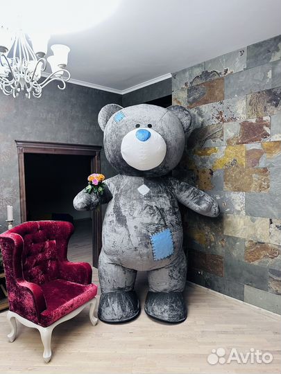 Аниматор. Мишка. Поздравление. Романтик