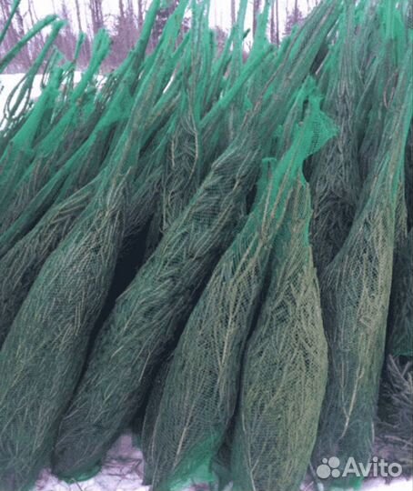 Сетка для упаковки елок