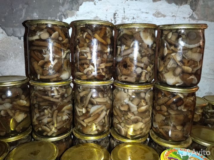 Грибы опята маринованные