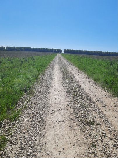 Участок 5,6 га (СНТ, ДНП)
