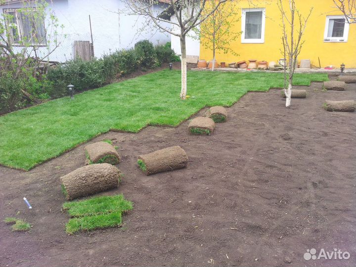 Рулонный газон. Озеленение участка