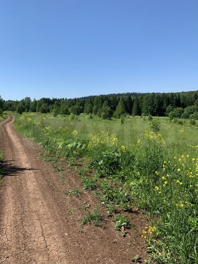 Участок 5,9 га (СНТ, ДНП)