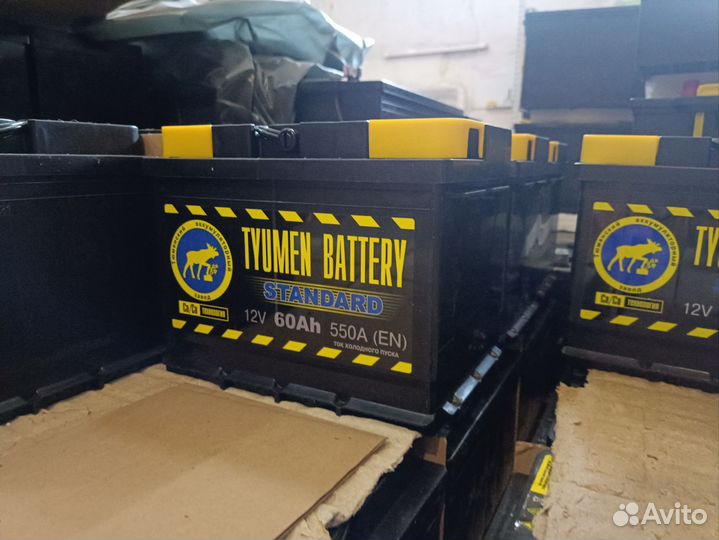 Тюменский акб лось от 40 до 230