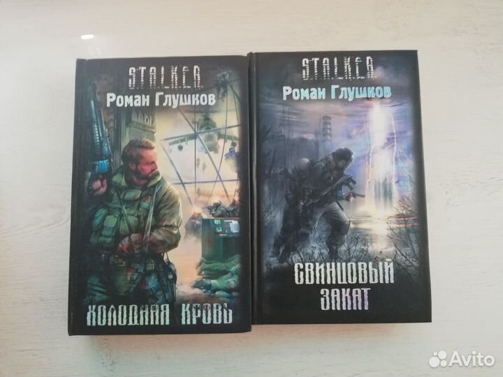 Сталкер, stalker, Роман Глушков