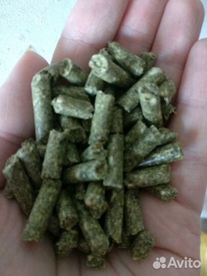 Корм для шиншилл