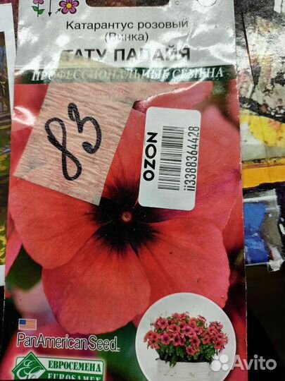 Петуния рассада