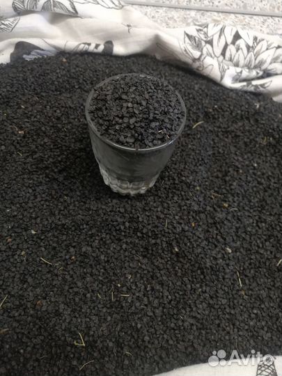 Семена лука(лук Елховский). Чернушка