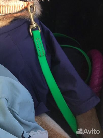 Поводок для собак