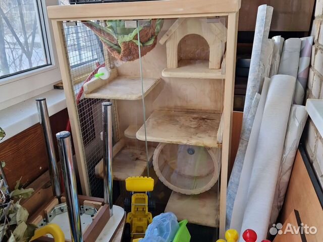 Витрина для шиншилл