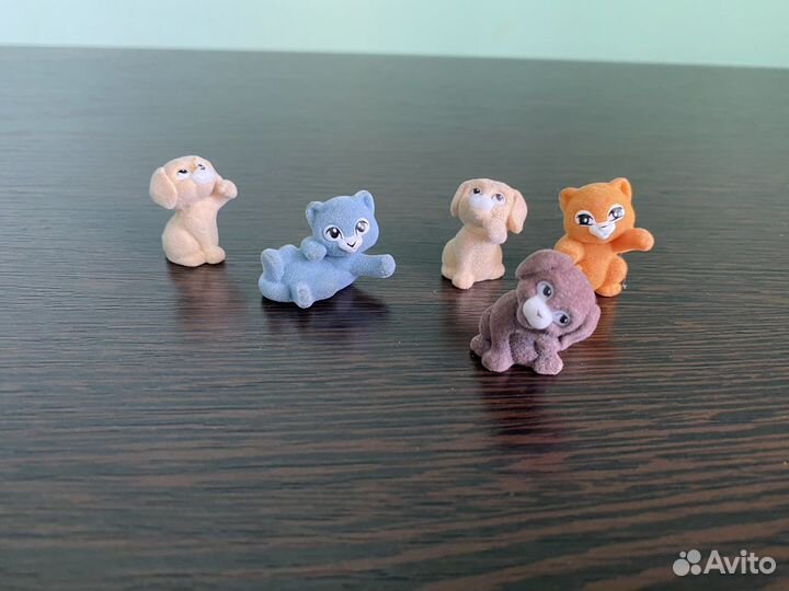 Домашние животные