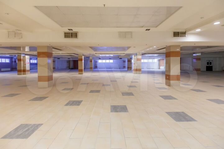 Крупный продовольственный магазин у метро 2000 м