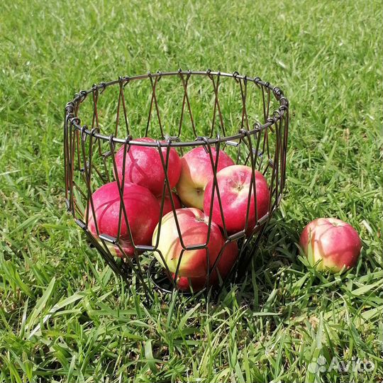 Фруктовница транформер, ваза, подарок учителю