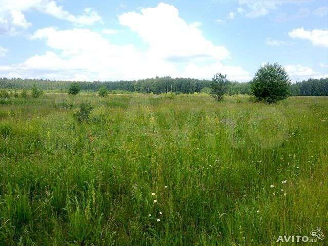 Участок 9,78 га (СНТ, ДНП)