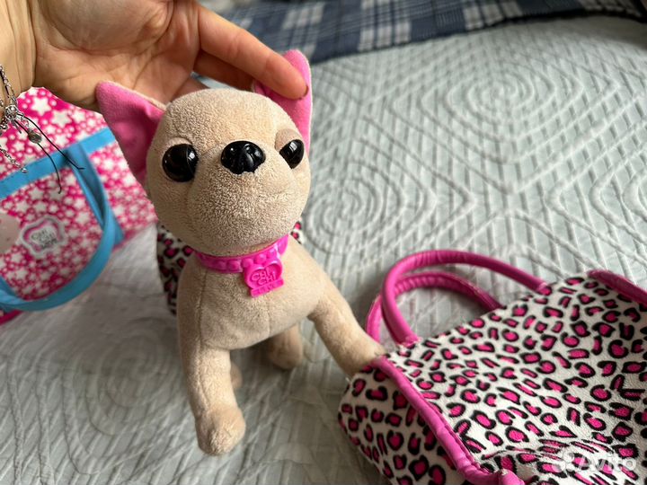 Собачки Чи Чи Лав