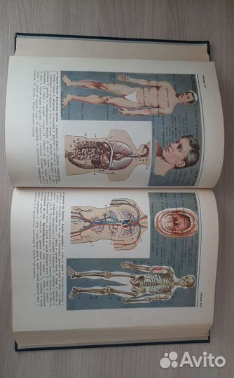 Универсальный французско-русский словарь