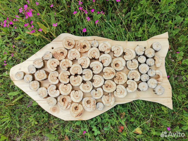 Панно из можжевельника