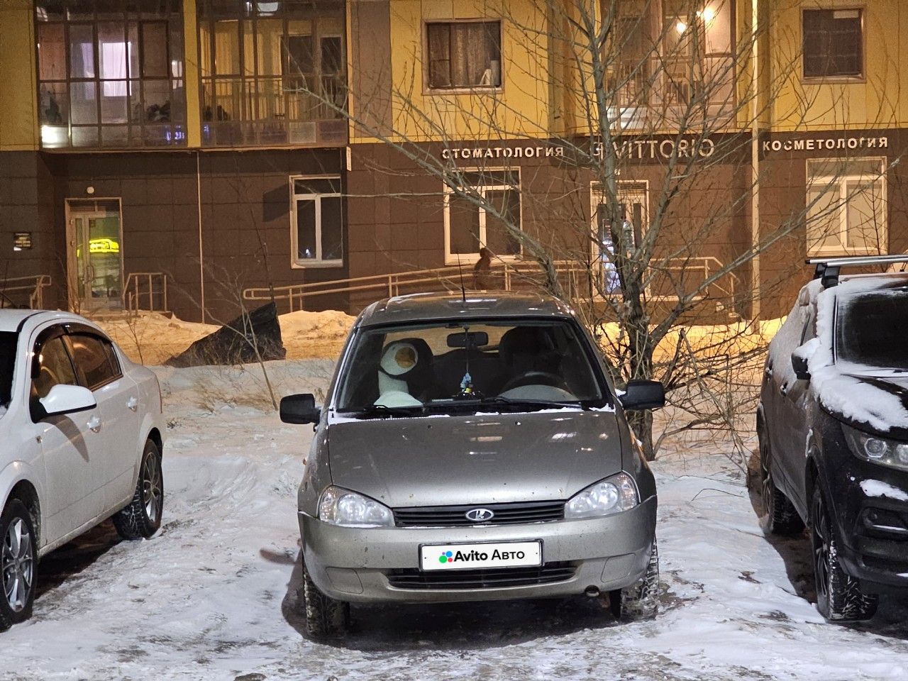ВАЗ (LADA) Kalina: фото владельца