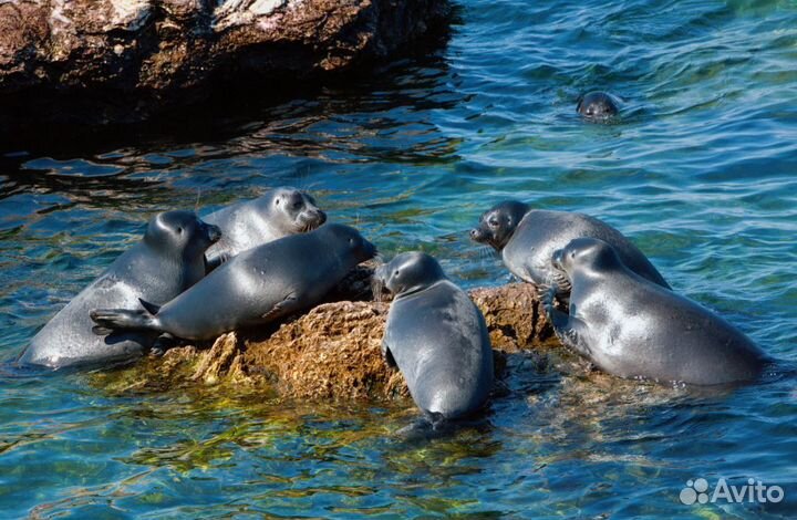 Путевка на о. Байкал на 7 нч