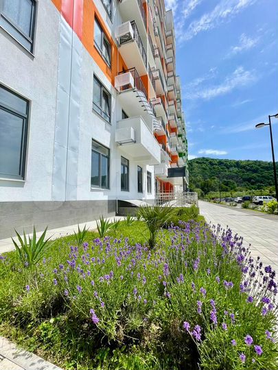 1-к. квартира, 28,6 м², 10/12 эт.