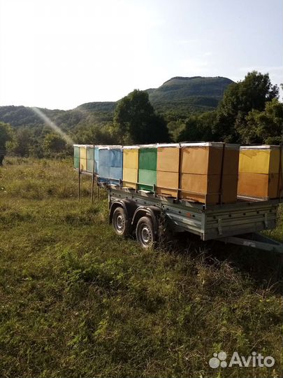 Продукты питания