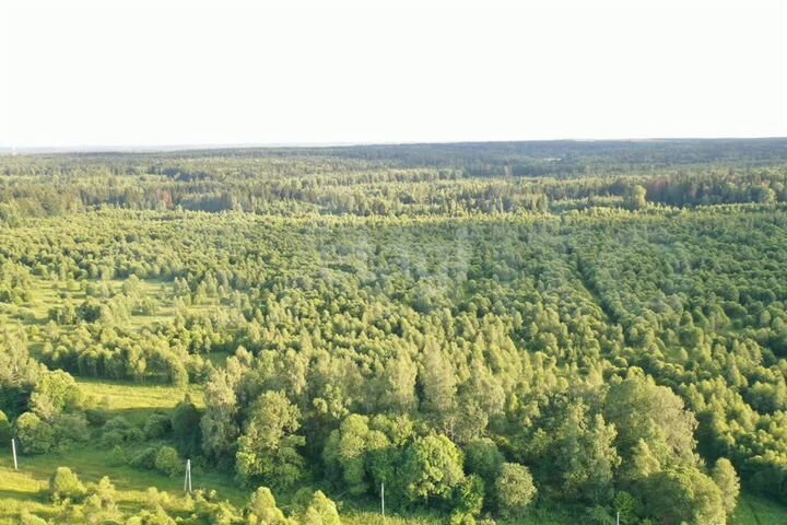 Участок 4,49 га (ИЖС)