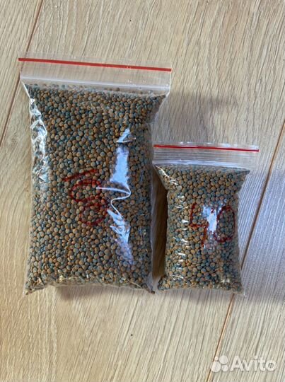 Сухой и мороженный корм для рыбок и сомов