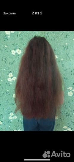 Скупка волос. Астрахань продать волосы
