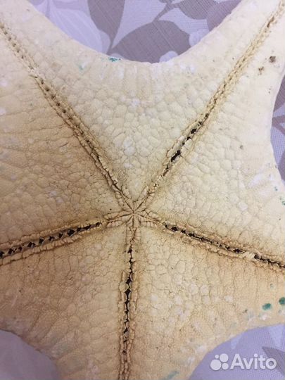 Сувенир Морская звезда и Пальмы из ракушек