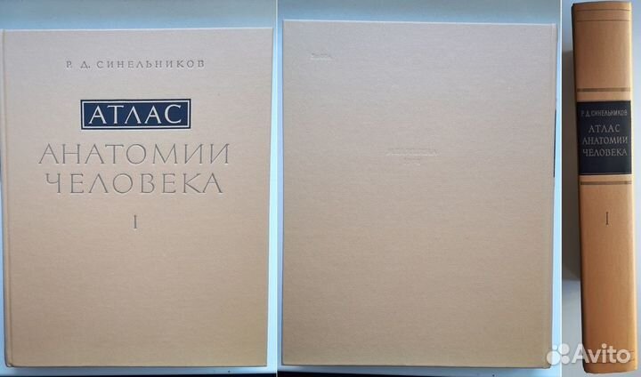 Синельников Р.Д. Атлас Анатомии человека. В 3-х то