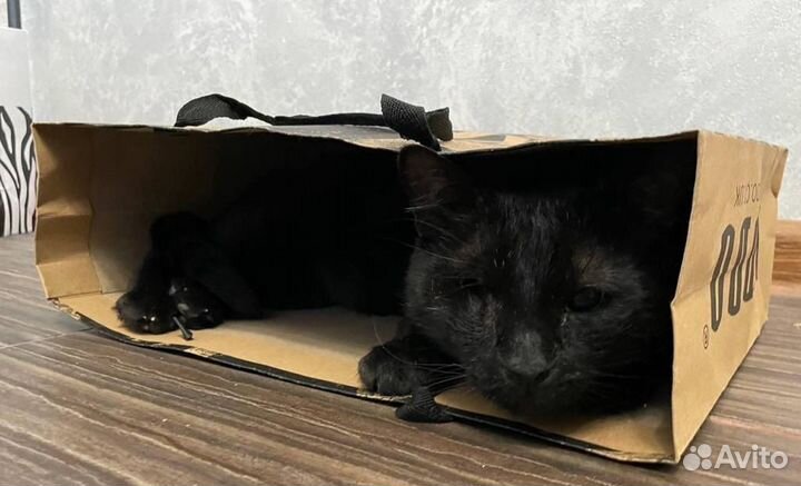 Шанс для инвалида