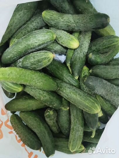 Помидоры, огурцы свежие домашние